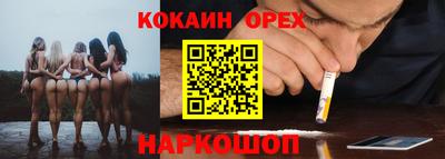 сатива Моздок