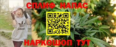 сатива Моздок