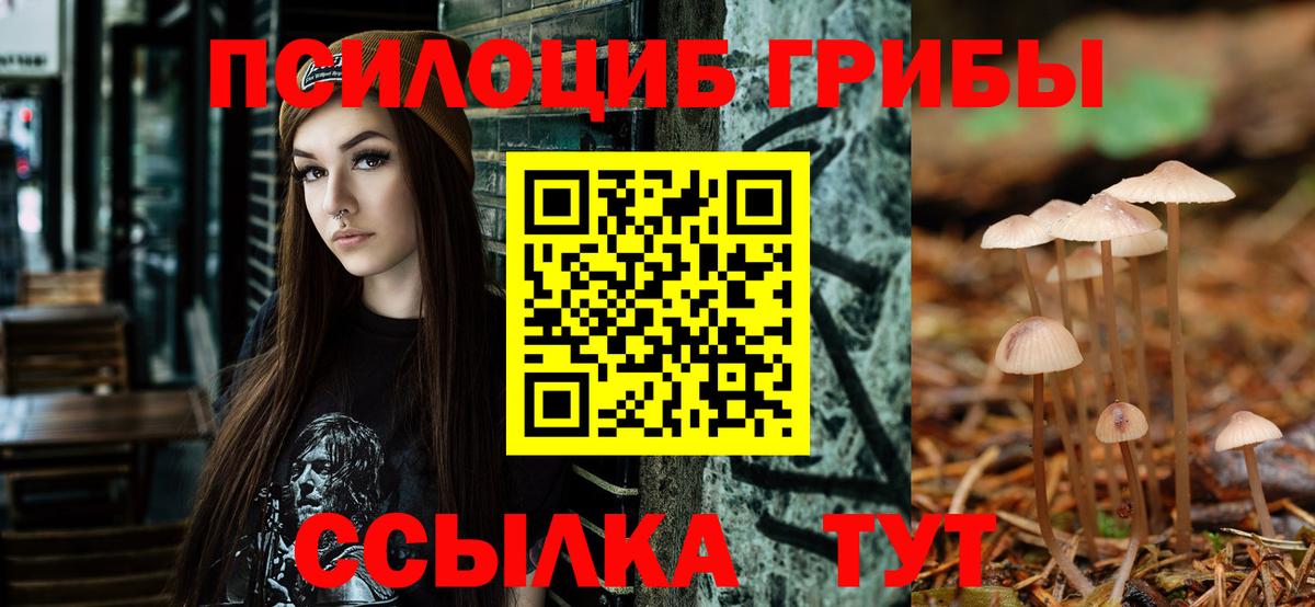 Семилуки  Галлюциногенные грибы MAGIC MUSHROOMS  Галлюциногенные грибы прущие грибы  Вход с VPN 